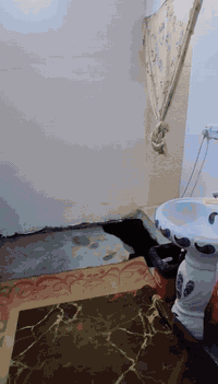 السلام عليكم بيت ركن  تجاوز بصف طابو فرق بيت تبليط علا ربع شوارع دور جديده شارع الكهرباء واجهيه ٩ ونزال هم٩ غرفه ٤في ٣ صاله ٣في ٣ مطبخ ٣ في ٣ حولي ٣ في ٣ حمام  مرتين في مترتين منور ٢ في ٢ كيزر جديد صار ١٧ يوم لبيت من طلعو من عده عماله  كله تئسيس جديد كهربا ء كيبل جديد مي تئسيس جديد متحك راسك نقص بس بيبان يم نجار مجاري ويه طابو كهرباء ويه طابو ابد متحك راسك   لاتعبك ولاتعبني ب ٢٢.. ***********
.
.
. 🌸🌺
