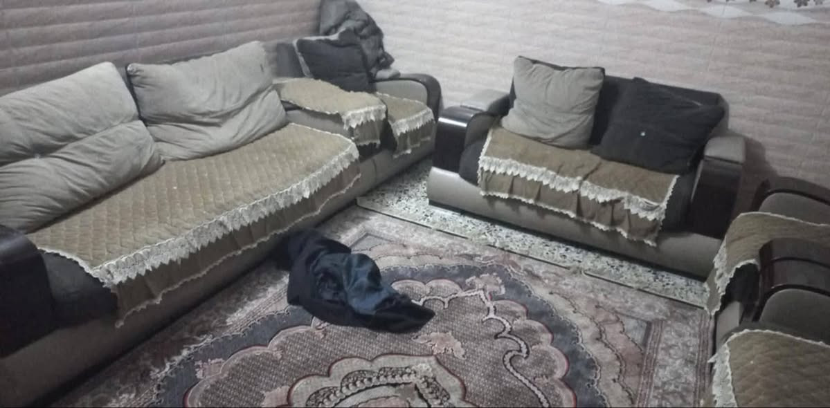 تخم تركي ١٠نفرات للبيع كربلاء حي القادسية ***********
