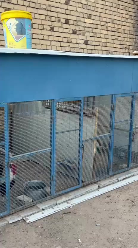 سلام عليكم متاح وجهيه 5خانات رتفاع متر ونص معه سقف وقواطع قواطعها موالي بتصوير غيرهن كاملات سعرها 250الف شغل ولاغلطه تجي وتشوف كله جديد لولد شتغلها وعزل لحمام المكان ابو صخير شارع بيت ديوان تواصل ***********
