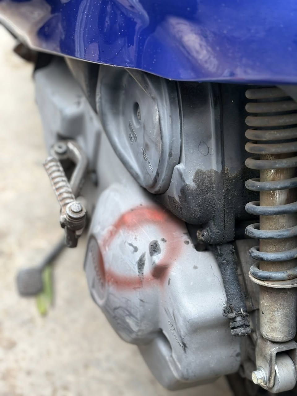 السلام عليكم ورحمة الله وبركاته تم بعونه تعالى وصول دراجات مختلفة باله ياباني وجديد زيرو عنوان المعرض بعقوبة فلكة الفلاحة مقابل مجلس محافظة ديالى يتوفر نظام بيع بل قسط بدون مقدمه لحاملي ماستر الرافدين فقط للاستفسار اكثر الاتصال عل الرقم ***********
