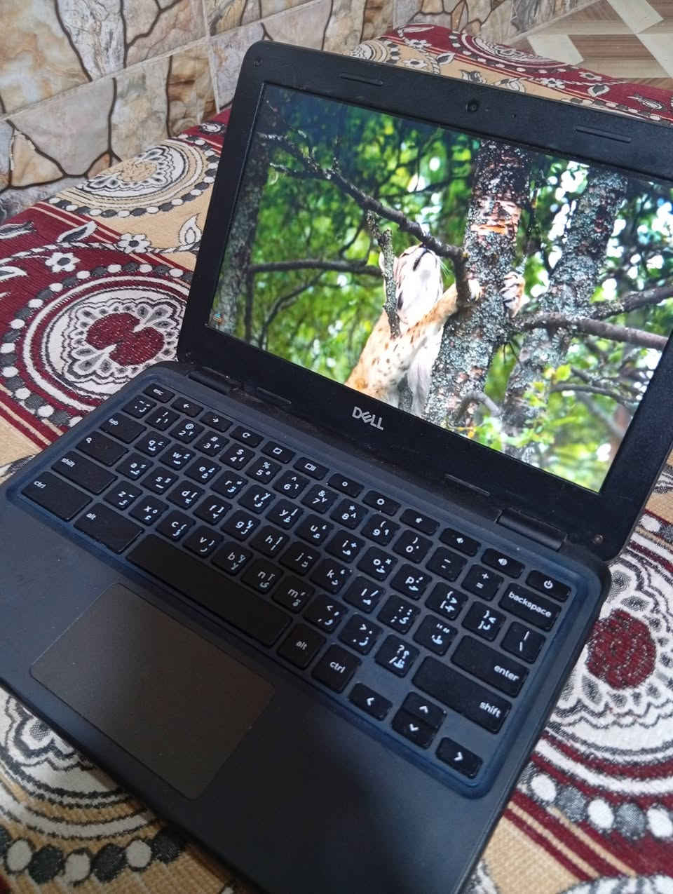لابتوب دل نضيف كلش ب75بي مجال


**إذا كنت صاحب هذا الإعلان وتريد حذفه لأي سبب، رجاءا أرسل رسالة إلى الدعم الفني**