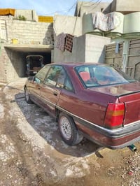 اوميغا • ١٩٩١ • صبغ عام