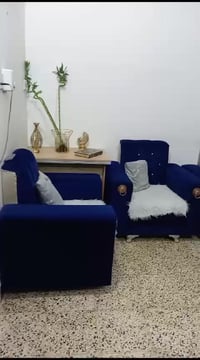 تخم عراقي • ١٠ مقاعد • الفلوجه