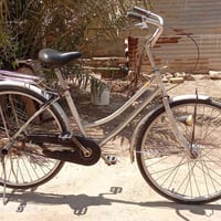 باسكل • للبيع • سعر خاص