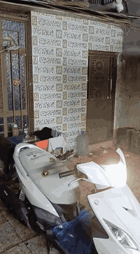 جي تي ار • مراوس • اب جبلي