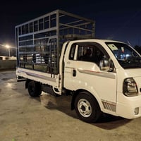 فحل موديل 2021 بغداد ماشيه 65 حقيقي للاستفسار 07746201999