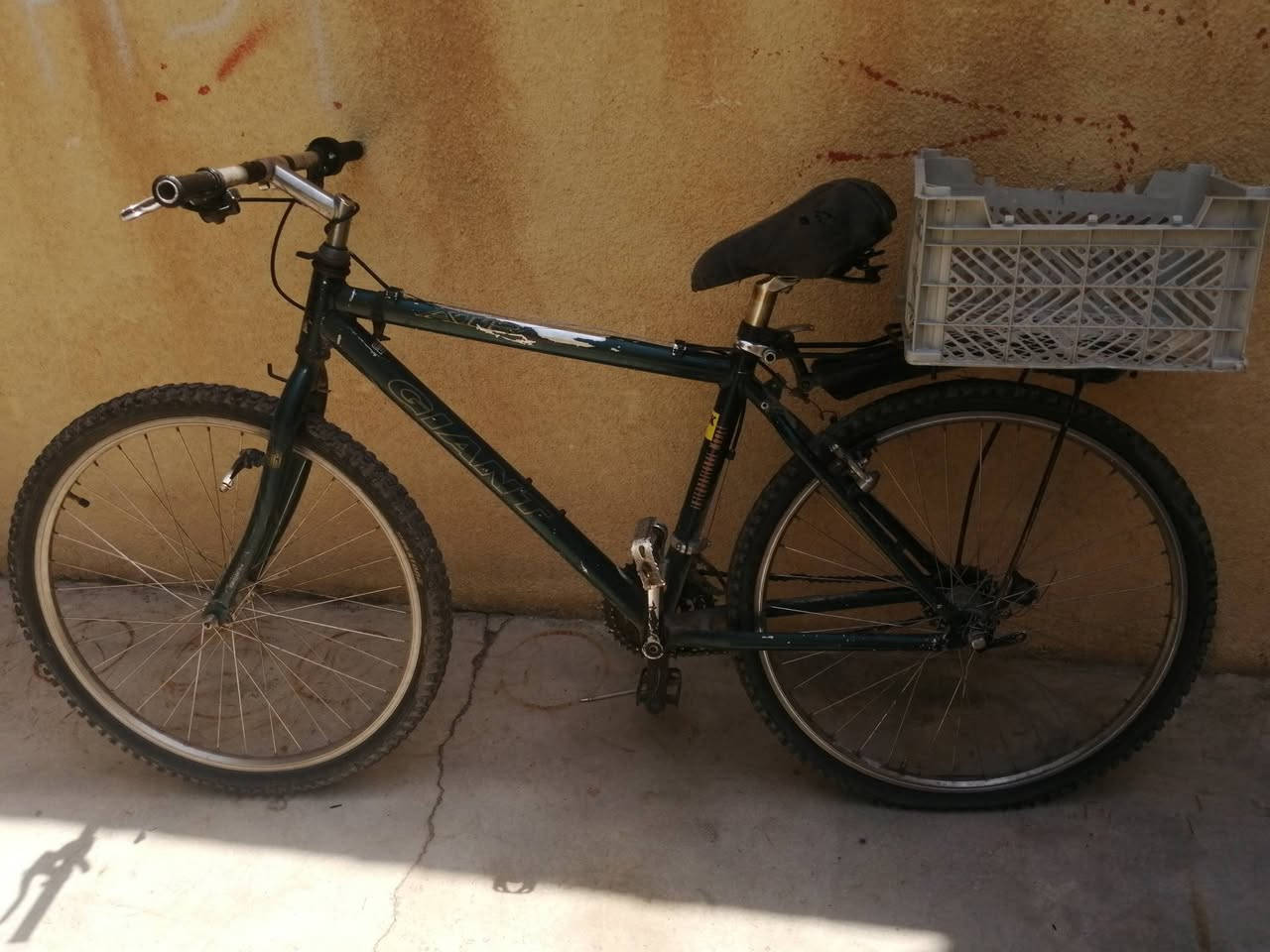 باسكل للبيع بس ويل ملت نكسر سعر خاص


**إذا كنت صاحب هذا الإعلان وتريد حذفه لأي سبب، رجاءا أرسل رسالة إلى الدعم الفني**