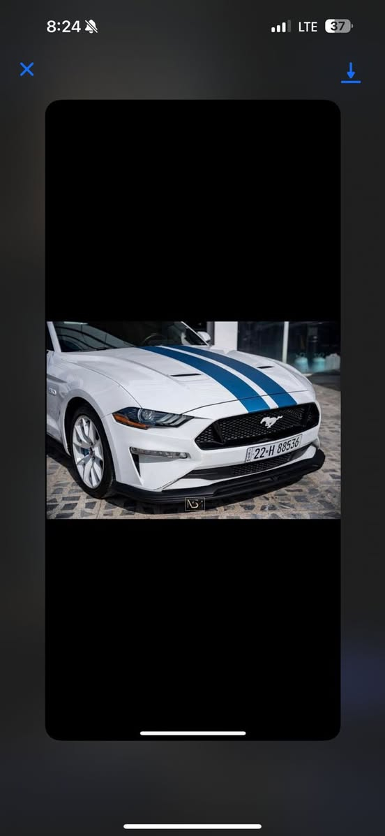 � موستانك 🤍 White Edition 
بريميوم فول اعلى فئه خنك مواصفات
ماشيه 36000 km
 بيع او مراوس  
لون ابيض مميز
برمجت البطل مصطفى ايكل 🦅
ديلي يوز كلش قويه
كير اوتو 10 سبيد
كيجات ديجتال
دشبول 7 الوان
5 وضعيات قياده
دركه وايت ايدشن بلاد
اكزوزها اكتفت ٤ وضعيات 
شاشه جبيره Sync 3
نظام سماعات
كشنات جلد بيض بلاد 
كرسي ميموري
رادار جانبي
تشغيل عن بعد
تحديد مسار
خروج 6 بستم
اشاره الحصان بالمري الجانبيه
كشنات تدفئه + تبريد
ستيرن تدفئه
باك لايت سموك
ويل الوايت ايدشن بلاد من الشركه 
اخت الكلين السياره حادثها 
جاملغ خلفي وباب بصف السايق
 مبدل نفس الون قطعه وحده 
بدون تكم ولا دواخل ولا دوسات 
كلش جديده بمعنى الكلمه السياره امانةالله
 
*********** واتساب
