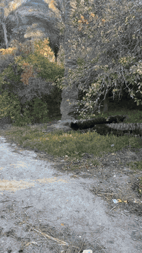 ربع دونم سكني في#البوعيثة واجها :13.5 متر 
***********_***********_***********
