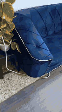 ما بعد السلام مكلف بل نشر طخم عدد 2 جديد مامستعمل كل طخم 6 متر. + 4كوشات وطبله هديه

لل استفسار ***********
