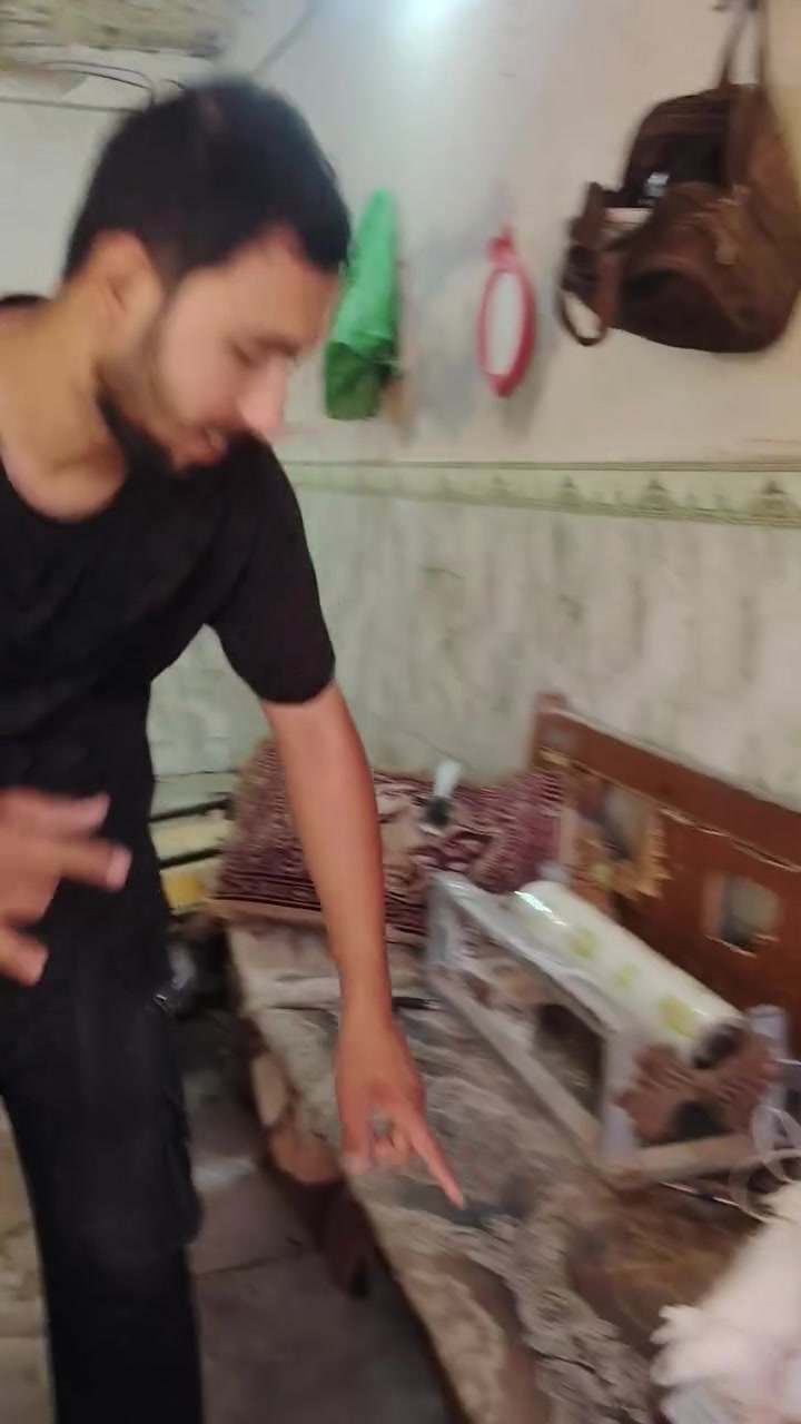 اللهم صل على محمد وال محمد السلام عليكم ورحمه الله وبركاته يوجد لدينا دجاجه ام ثلاث كيلوات 9،، سعر العنوان فلكت الجبور مقابيل ال بوش هاذي رقمي *********** وتساب عندي ٨ وعندي ٧ ونص اني خادم
