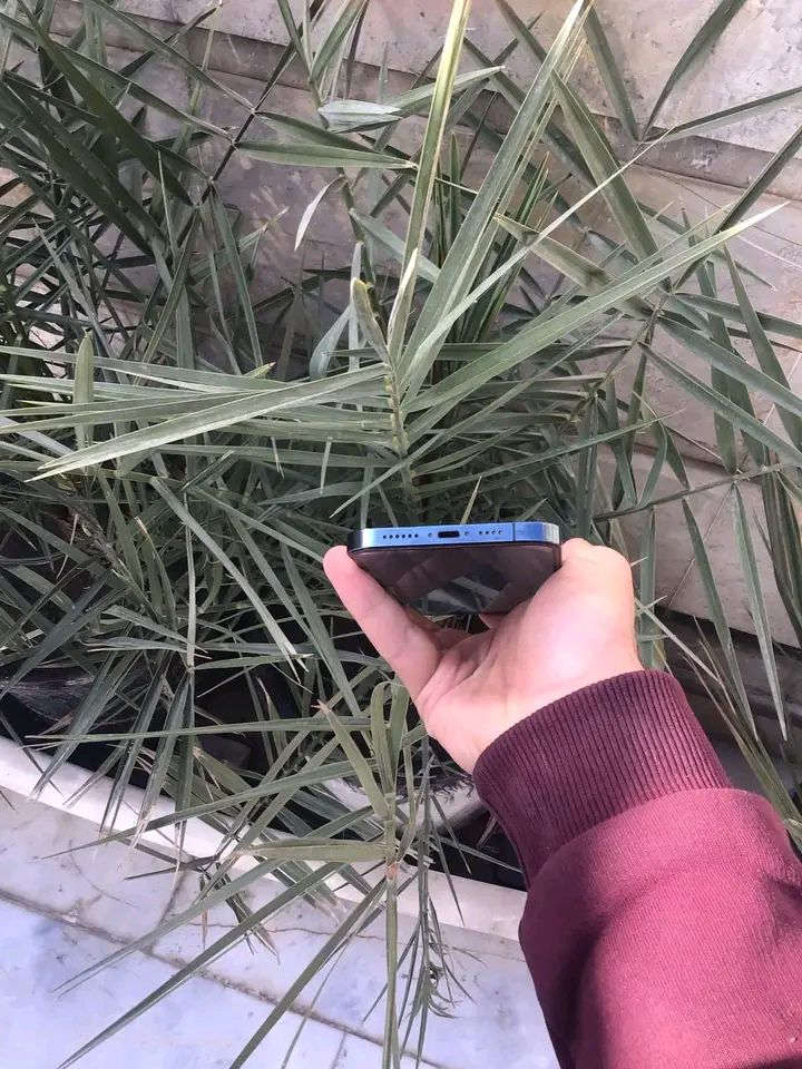 12برو ماكس ذاكرة 256 بطارية 80 جهاز مامبدل بي كلشي شرق اوسط AA/A نهايته ٤٠٠ قفل المكان بغداد


**إذا كنت صاحب هذا الإعلان وتريد حذفه لأي سبب، رجاءا أرسل رسالة إلى الدعم الفني**