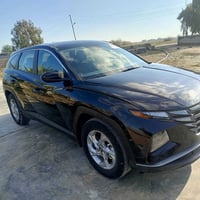 ٢٠٢٤ • ١٧ الف ميل • بدون ايرباك