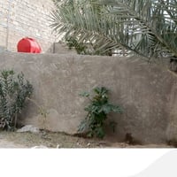 النجف الاشرف • قريه الغدير • طابو زراعي