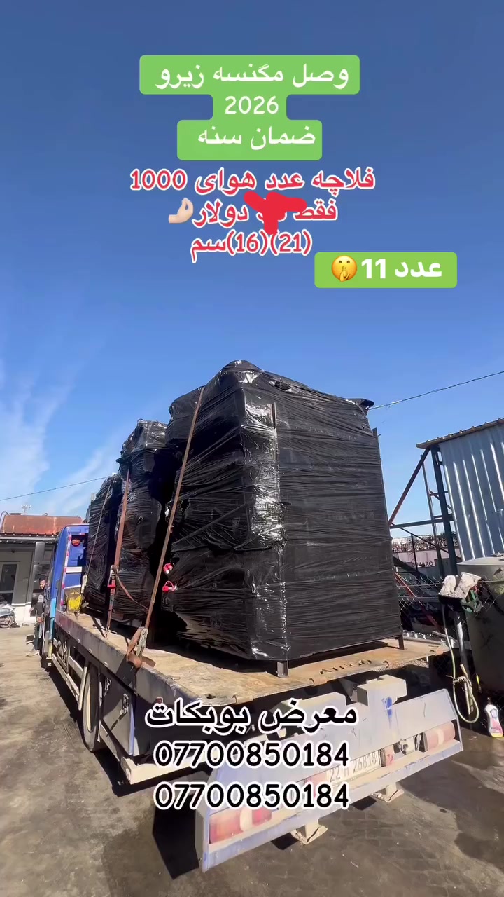 *********** ***********
