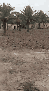 السلام عليكم يوجد لدينا نصف دونم للبيع مساحه 1250م واجهه 12ونص ونزال 100 تصلح للسكن او مزرعه جميع الخدمات موجوده ماء وتبليط وكهرباء نوع نوع الملك قانون رقم 1 مع صاحب القطعه مباشر العنوان بغداد الدوره البوعيثه الخمسه دونم قرب شارع غزة الجديد الاستفسار اتصل على هاتف *********** /***********
