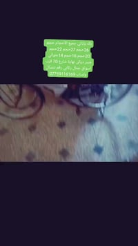 بايسكلات بناتيه • جسر ديالى