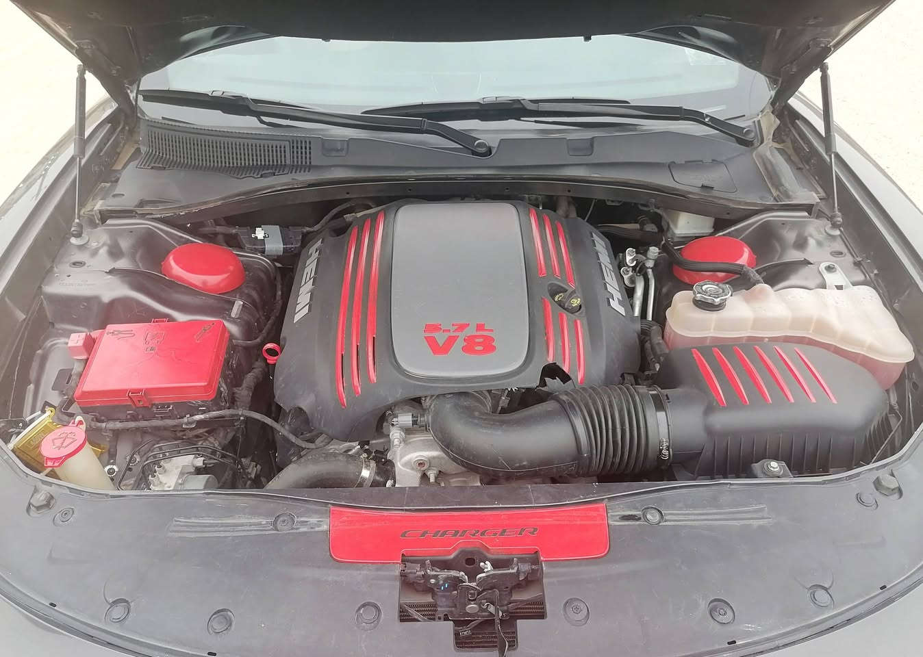 السلام عليكم
جارجر 2019  RT
مكينة 5700 v8

ماشية 51mi
رقم بغداد   حره
مواصفات الارتي معروفة :
بصمة
كير طيارة
شاشة جبيرة
قطعتين تبريد
كامرة دوارة
دكمه سبورت+سوبر تراك
شفتات ستيرن
هيتر مري
كروس سرعه
كشنات جلد مدوشم
سستم سماعات الباين
كشن سايق كهربائي
حساس خلفي
سبايدر خلفي بلادي
كزوز بلاد ما ملعوب بي
ويل  قياس 20 
السيارة ع وضع الشركة ستوك اي تعديل او تزويد ع المكينه ماكو
السعر195 ، وبيه مجال 
مكان الدوانية 
‏‭***********
