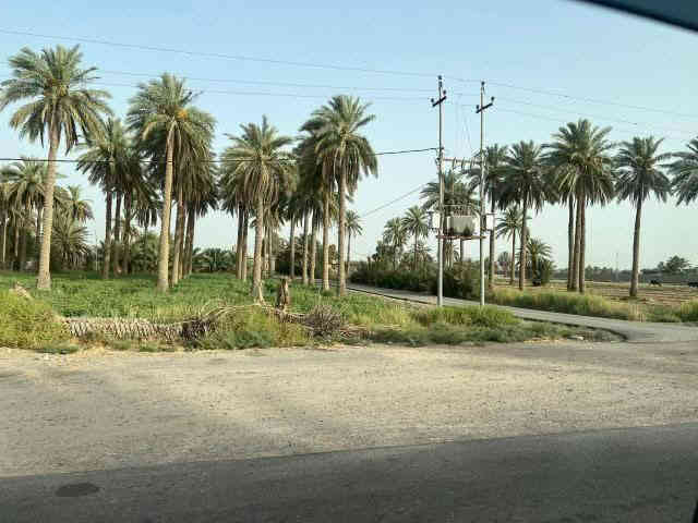 4 دوانم ملك صرف سند مستقل للبيع
وسعر الدونم الواحد 20 مليون جاهزات
فرصه ذهبيه 4 دوانم مستقلات وملك صرف
جاهزات من ماء وكهرباء وسكن يمهن ويبعدن
عن المستوصف والشاليهات 8 دقايق مرتبات
العنوان تاجي سبع البور بمنطقة الشيخ عامر 
يبعدن عن السوك 10 دقايق جاهزات وكاملات
بصف التبليط صايرات موقعهن كلش مرتب
ويباعن حسب الطلب فتح بيان ثاني يوم بأسم
المشتري للاستفسار واتساب ***********
