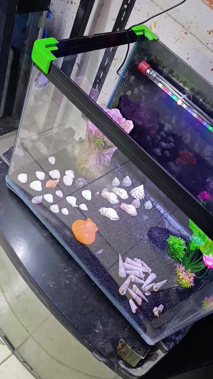 مجموعه احواض اسماك بأسعار مناسبة حله قاضيه شارع مركز الحساسيه


**إذا كنت صاحب هذا الإعلان وتريد حذفه لأي سبب، رجاءا أرسل رسالة إلى الدعم الفني**