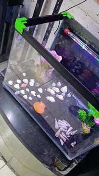 احواض اسماك • اسعار مناسبة • حلة قاضية