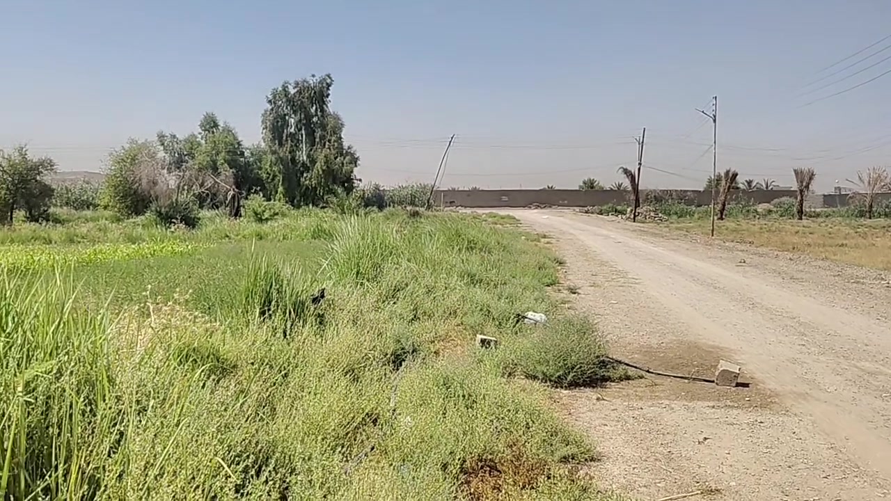 السلام عليكم .. فرصة استثمارية عندي مساحة 5 الاف متر مبربع في منطقة ابو غريب قرب جسر الزيتون خلف مجمع اسد بابل تصلح معمل او مخزن للايجار تحتوي على ماء اسالة وكهرباء وتقرب دقيقة واحدة عن الخط السريع للاستفسار ***********

