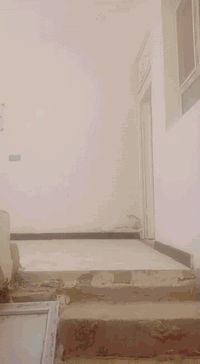 بدون امر،،، بيت الايجار طابق ثاني بناء حديث  في عميشة ايجارة 225 الف.. 
ورقم ***********
