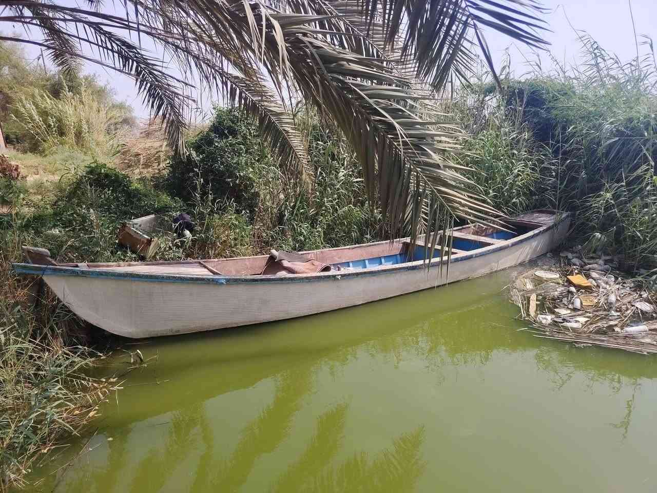 السلام عليكم جنكوه فيبر وشار الخرس الطول 14ذراع العرض متر و10 الارتفاع 48 كرمه علي الشلهه ***********
