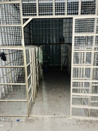 اخوان برج طيور كبير للبيع قيم بليرضي الله وتعال افتح. المكان بغداد الع...