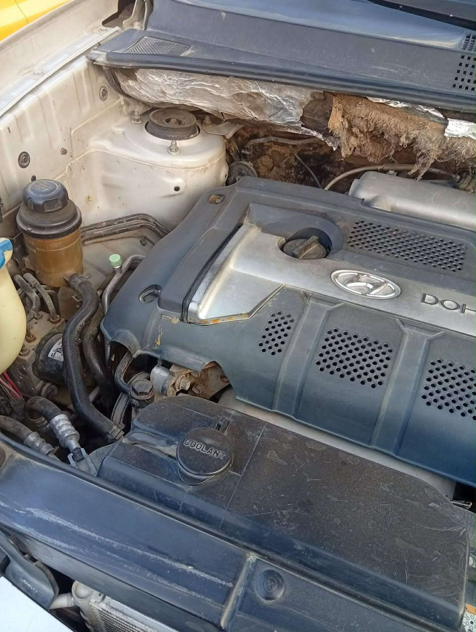 للبيع توسان 2007 وارد امريكي 4سلندر
حادثهه طخه بل باب الخلفيه ومصلحة
مصبوغه حزام
جاهزه كير مكينه تبريد حداديه كله جديد
رقم بغداد سنويه لل27
شاشه
مكاني بابل مركز مدينه
للاستفسار ***********
السعر 85 وبيهه مجال
