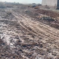 ناحية الإسكندرية • ناحية الشاخة • ٢٥٠م