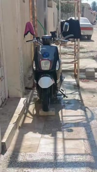 فينو • جديده • اصلي