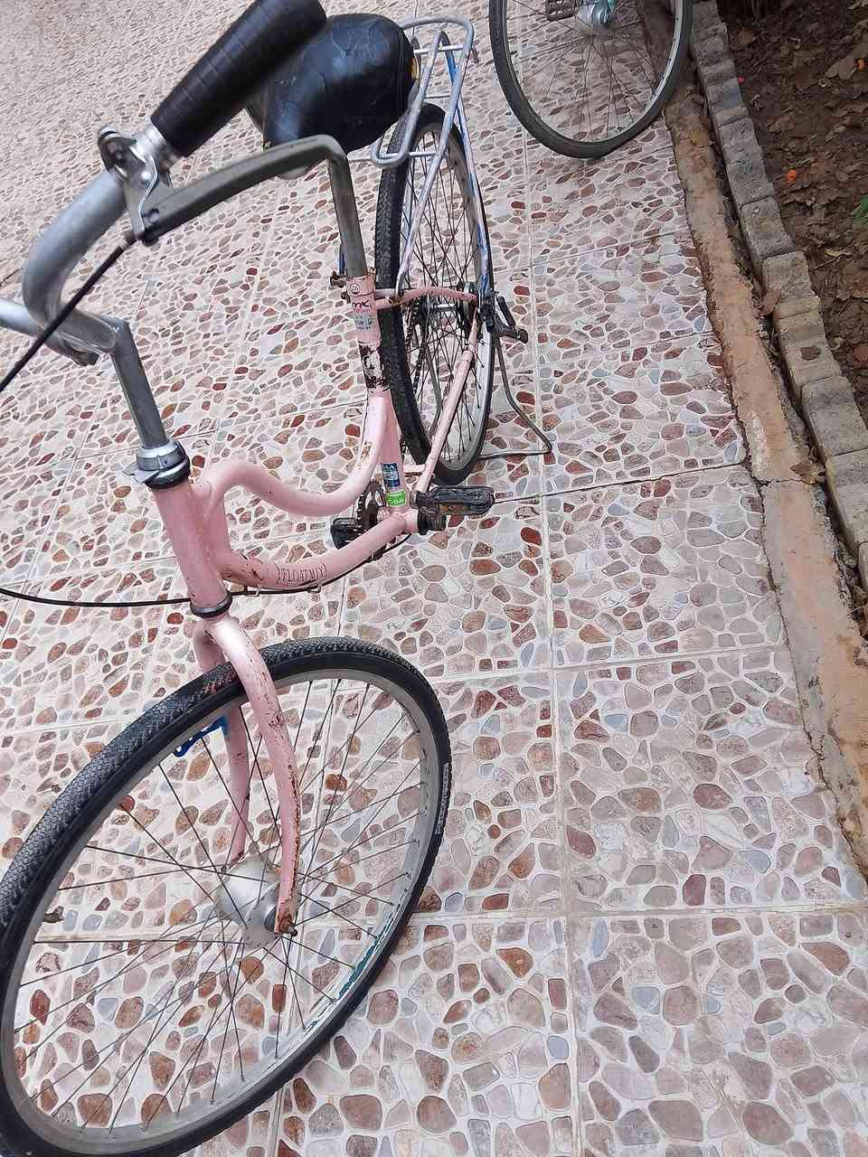 السلام عليكم للبيع بايسكل حجم 26 حساس شغال مكاني كركوك الأسرة والمفقودين قرب مول  نزار السعر 25 بي مجال بسيط رقم ***********
