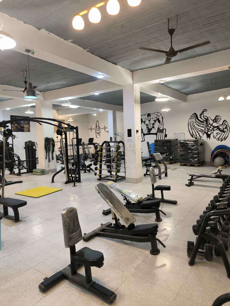 کامل سینی شەریکە body strong واتساب *********** كويسينجاك, أربيل
