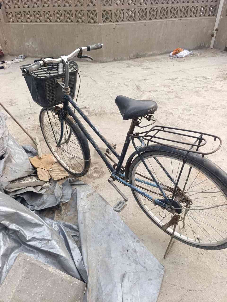 باسكل البيع سعر 25 نهاية شراي اتصل وتساب ***********
