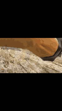 مطعم علي الصغير • توصيل • شارع ابو جمال