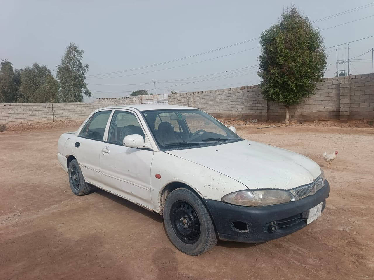 اللبيع باراتون ***********
