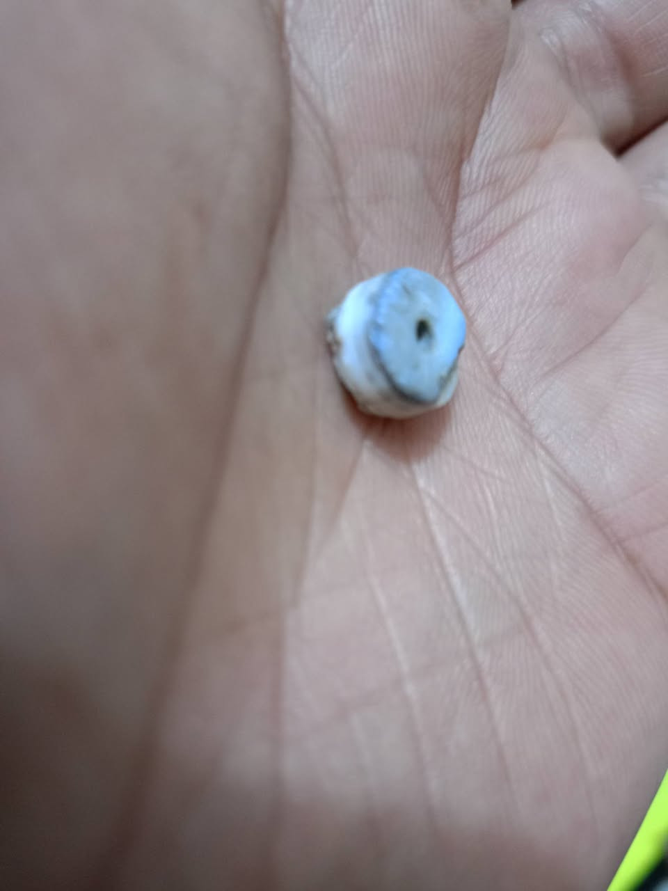 جزعات 2 ملاگط 75 ألف 
العنوان//الكوت ....***********
