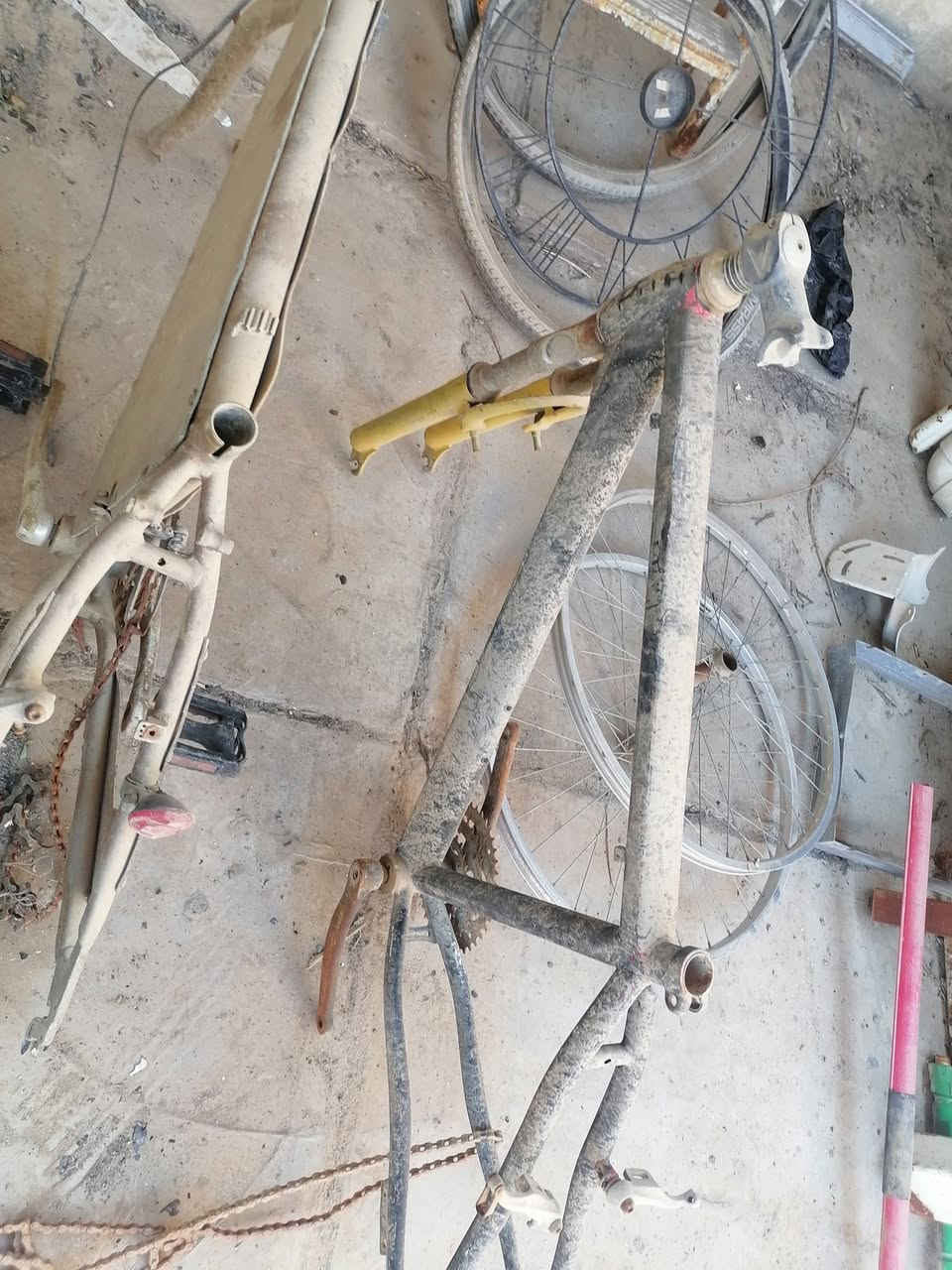 السلا م عليكم
شباب عندي لشات ياباني ووياله حجم ٢٦ اصليات مال باله مكاني الكوت الخاجيه قيم واخذ


**إذا كنت صاحب هذا الإعلان وتريد حذفه لأي سبب، رجاءا أرسل رسالة إلى الدعم الفني**