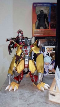 جلمود • تأكيد الاسم • استفسار