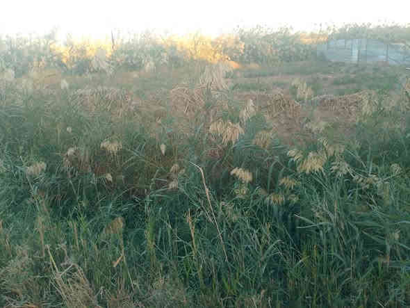 السلام عليكم للبيع كاع 600 متر بمنطقه سويب سند ١٧ صايره شكل مثلث قريبه كلش علا صيطره سويب بصفهة 
التبليط بابهة الكهرباء بصفك مي بيها عارضها ب ٢٠ مليون 
وبيها مجال للشراي ***********
