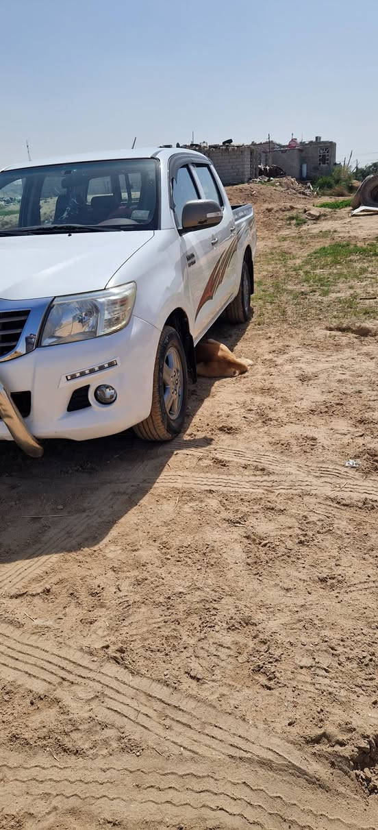 فلاونزه 14مكفوله
شاصي 19
205$
واتساب ***********
