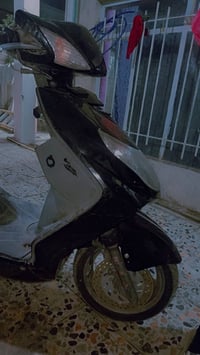 سكنس • وراق • كهربايات