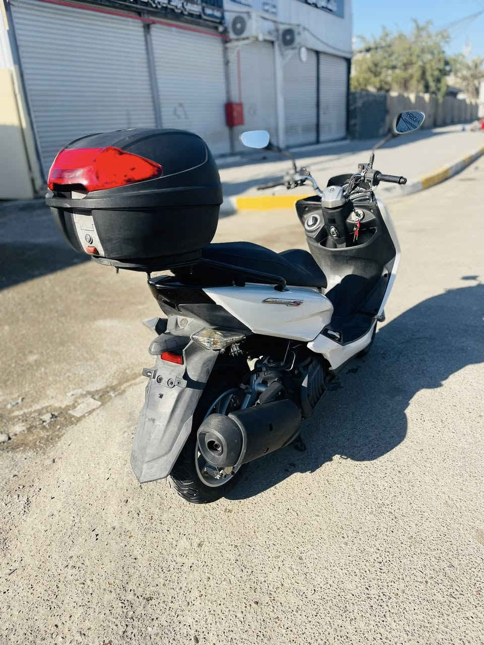 للبيع ماجسته (s) وارد يابان قبق نفخ واستاند كهربائي 

الدراجة رمبة وكفالة عامة شرط رمبة صارلهاا اقل الشهر من نازلة من الرمبة 

عداد الممشى 35,000km
عدتها وكتلوكا كامل 

العنوان بغداد الحرية 
***********
السعر مليونين وبيها مجال للشراي
