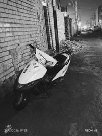 فراشه ثعلب • ١٤٠ • نقصه كعكه