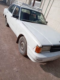 كراسيدا • ١٩٨٣ • سنوية ساقطة