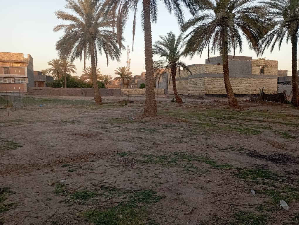 من رخصة أصاب الكروب  سلام عليكم  يتوفر قطع ارض مساحتها 870متر جنس الأرض ملك صرف سعر 75مليون   يتوفر قطع ارض مساحتها نصف دونم طابو زراعي سعر 65مليون يتوفر نصف دونم سعر 85مليون  يتوفر 420متر ملك صرف مشيد عليهى هيكل مسقف مئسس ماء كهرباء مجاري بناء حديث الموقع قرب أثار بابل إلي يحب يتواصل وتساب *********** حلة, بابل
