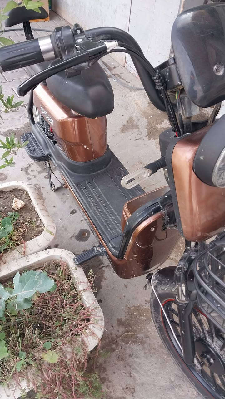 دراجة شحن للبيع 
استخدام نظيف بلادية بطاريات عالفحص بصمه عدد٢ نوع الريان السعر ٣٥٠ ألف  المكان نجف كوفه   ***********
