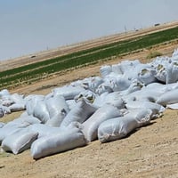 تبن جت • درجة أولى • توصيل كربلاء