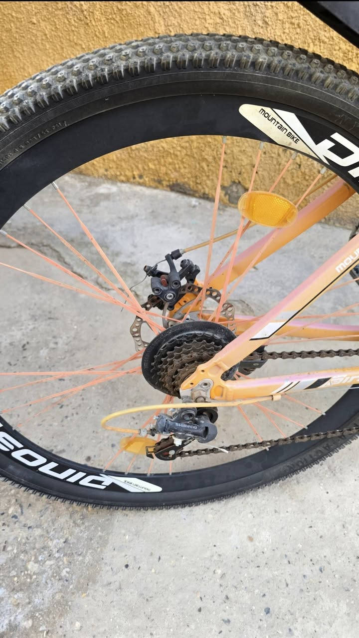 للبيع Mountain Bike نظيفة جدًا
 لون مميز وجذاب يلفت النظر
 سرعات Shimano الأصلية تبديل ناعم وخفيف
 تايرات عريضة وثبات عالي بالطريق
مريحة بالقيادة ومناسبة للمشاوير والطلعات
 مزودة بحامل قنينة + رفارف حماية
شكل رياضي وفخم 
حجم 29
استعمال خفيف
فقط يحتاج تقسيم للكير وبريكات 
مكاني بغداد الحسينية 
السعر 125 
***********
